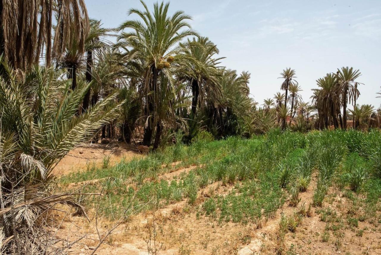 Maison Etoile Du Desert Aït Boukha Kültér fotó