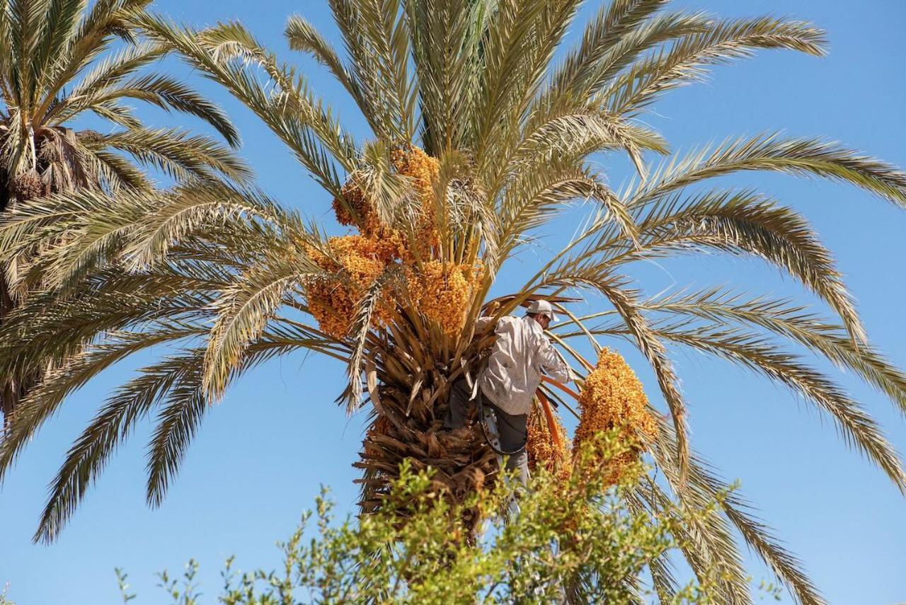 Maison Etoile Du Desert Aït Boukha Kültér fotó