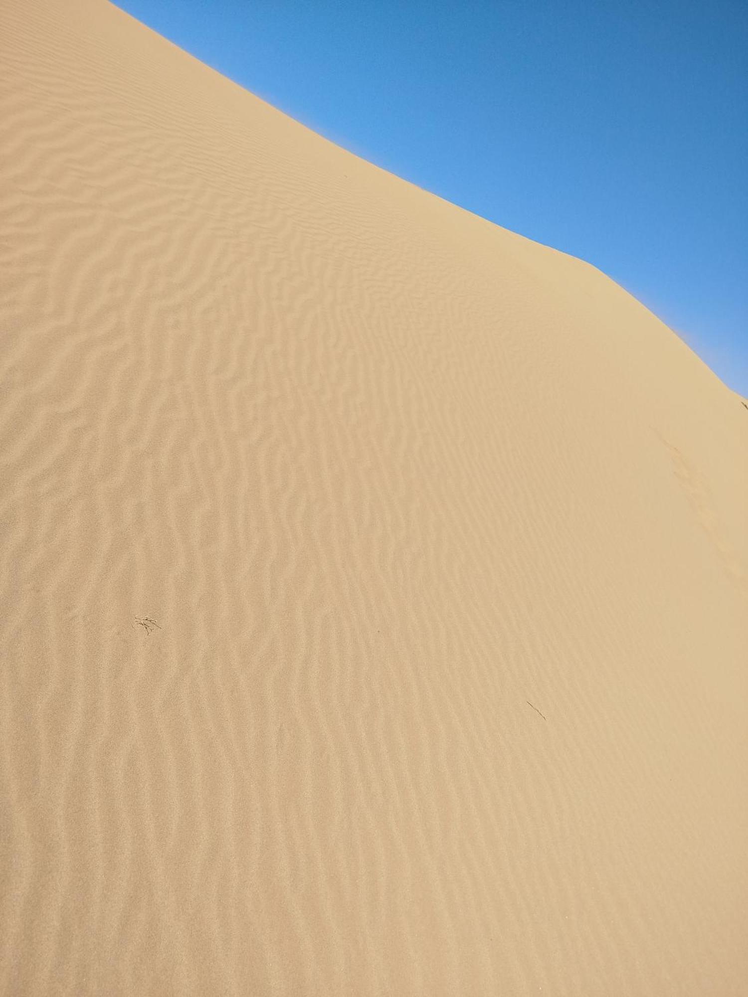 Maison Etoile Du Desert Aït Boukha Kültér fotó